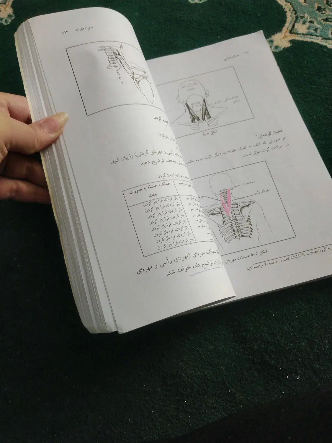 کتاب حرکت شناسی پیام نور|کتاب و مجله آموزشی|مشهد, کوی سیدی|دیوار