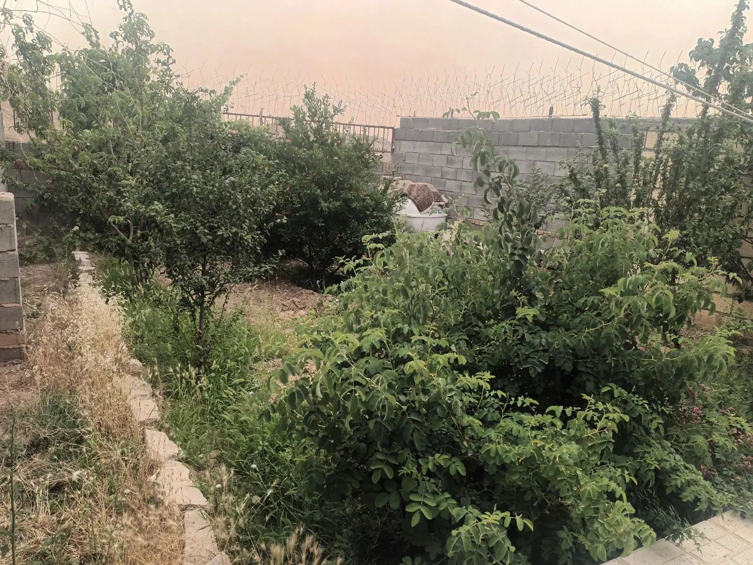 فروش خانه ویلایی ۶۰متری ۱ خوابه در روستای گوداسیاب|فروش خانه و ویلا|سبزوار, قصبه غربی|دیوار