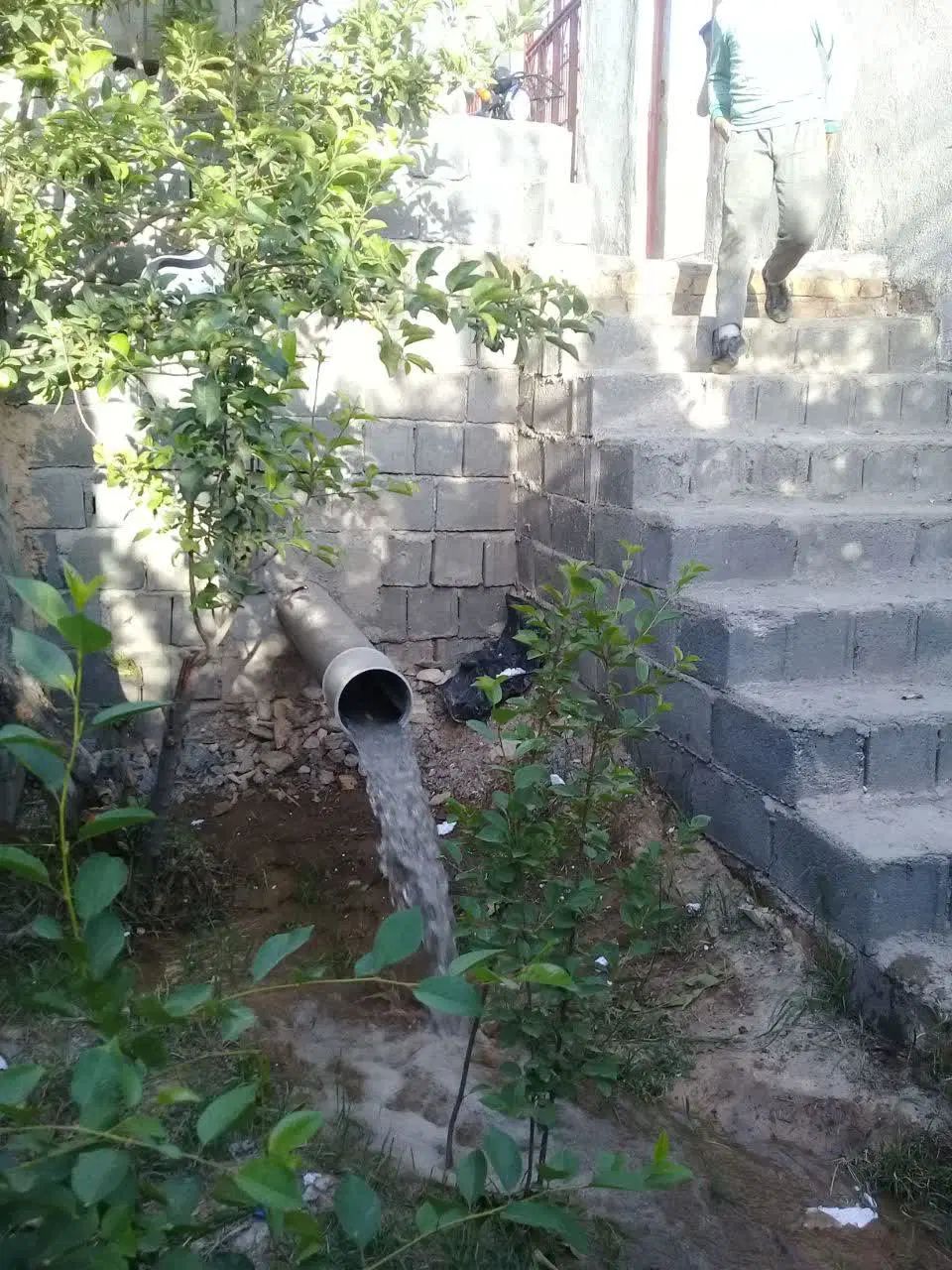 باغچه دور دیوار.در روستای رضوان اندرخ|فروش زمین و ملک کلنگی|مشهد, ولیعصر (شهرک غرب)|دیوار