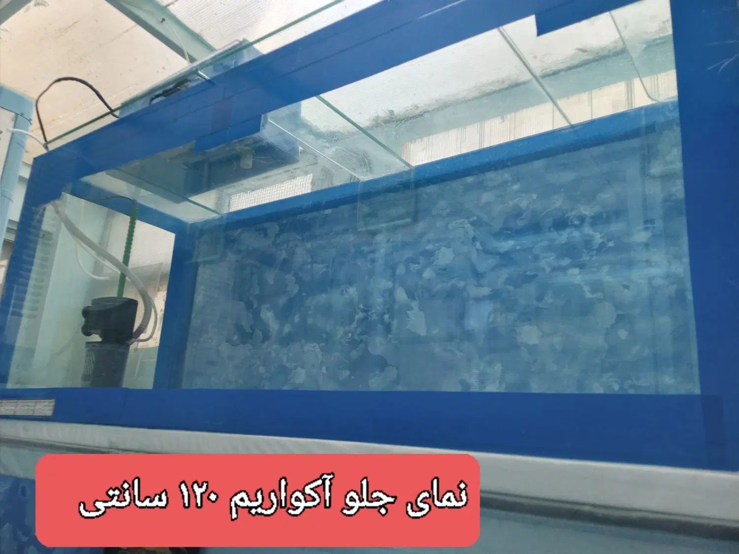 آکواریم ۱۲۰ سانتی معاوضه با پرنده زینتی|لوازم جانبی حیوانات|مشهد, دانشجو|دیوار