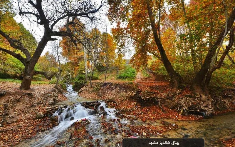 طبیعت گردی و مشهد گردی|تور و چارتر|مشهد, شهید فرامرز عباسی|دیوار