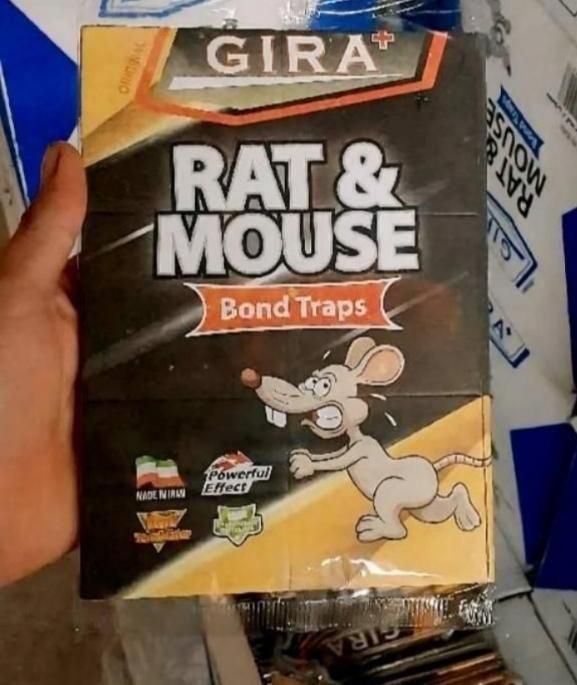 چسب موش صادراتی اعلا و سنگین 8 و10و 12 کیلویی|لوازم نظافت|تبریز, |دیوار