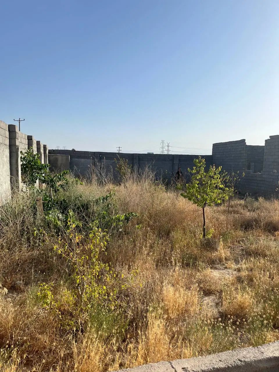 زمین ۷۵۰ متری،در روستای لک لک کوچه مرغداری|فروش زمین و ملک کلنگی|مشهد, سپاد|دیوار