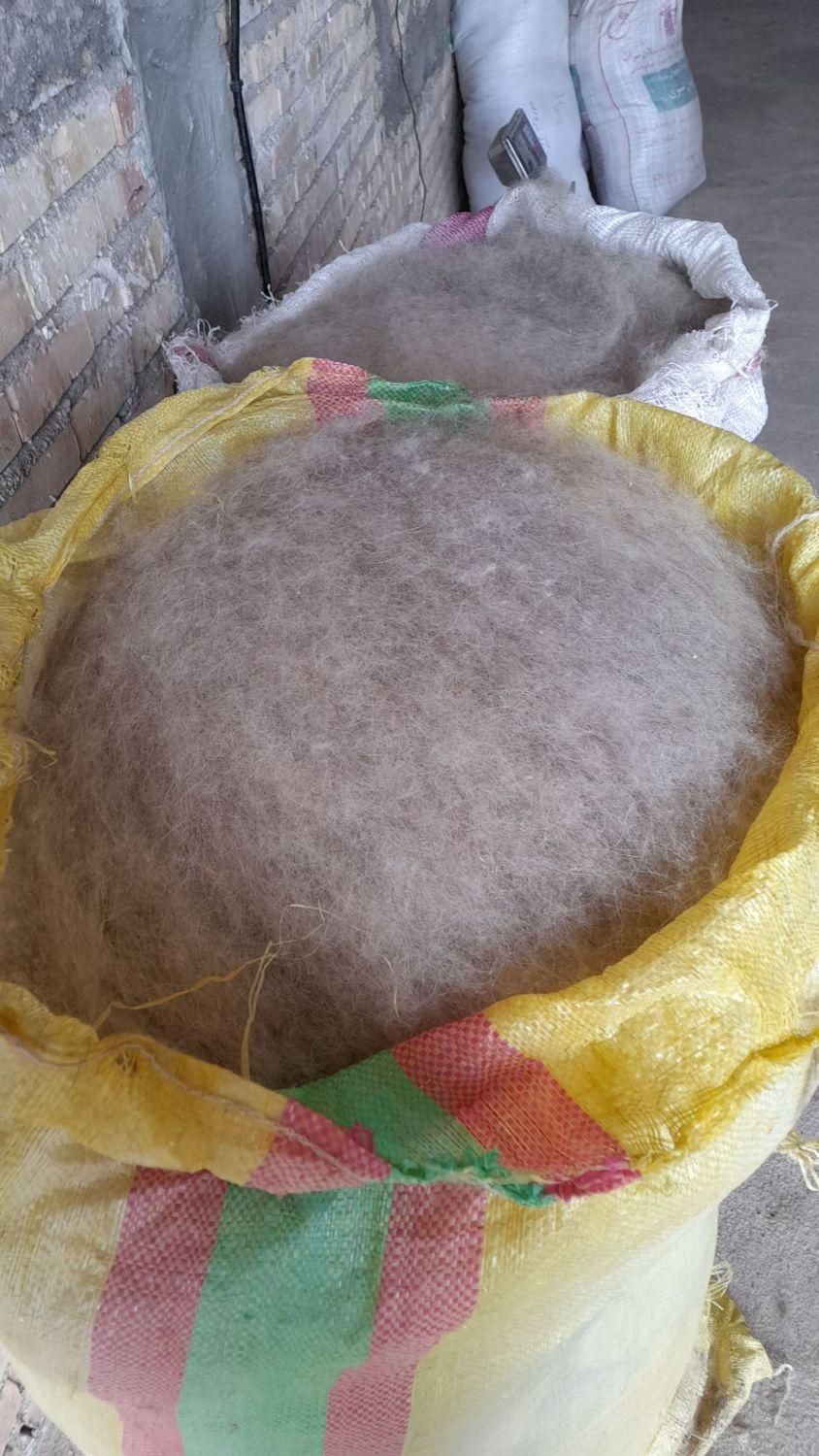 حلاجی(سومح ودیدمه)پشم والیاف|رختخواب، بالش، پتو|سراب, |دیوار