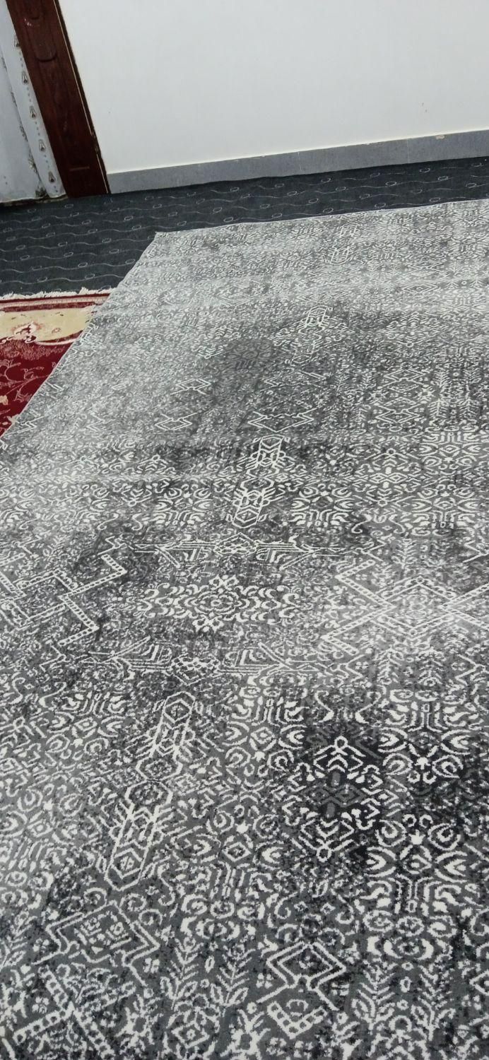 گلیم|گلیم، جاجیم، گبه|تربت جام, بیست متری منبع آب|دیوار