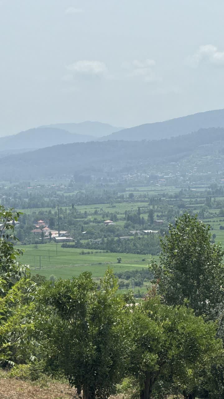 زمین ۳۰۰ متری ویودار در لوکیشن سریال پایتخت|فروش زمین و ملک کلنگی|بابل, |دیوار