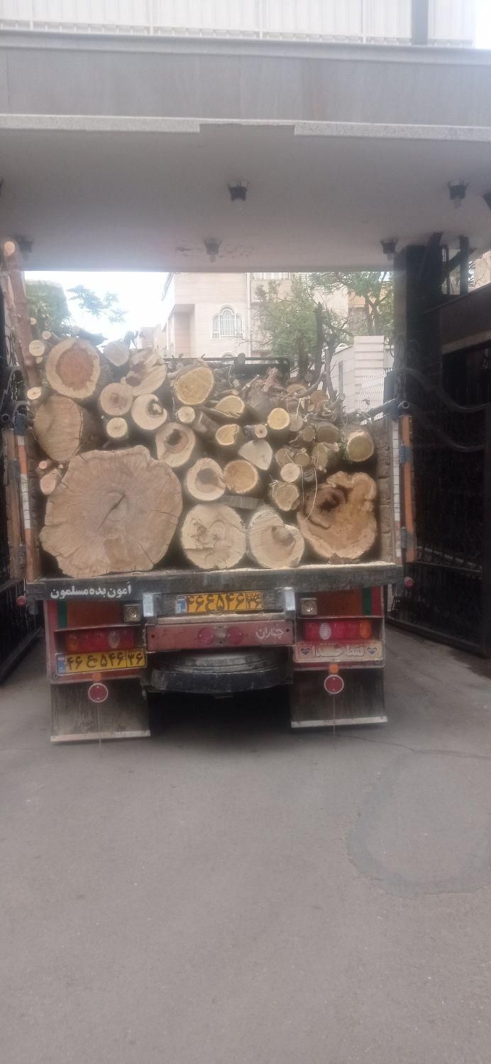 خرید چوب باغی سقفی به صورت|خدمات باغبانی و درختکاری|مشهد, توس (بلوار توس)|دیوار