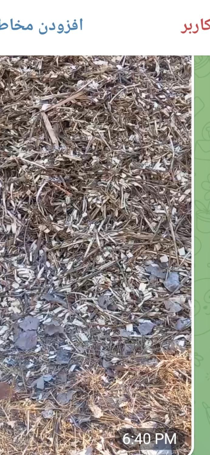 کارگر ساده روزمزد|استخدام صنعتی، فنی، مهندسی|اهر, |دیوار