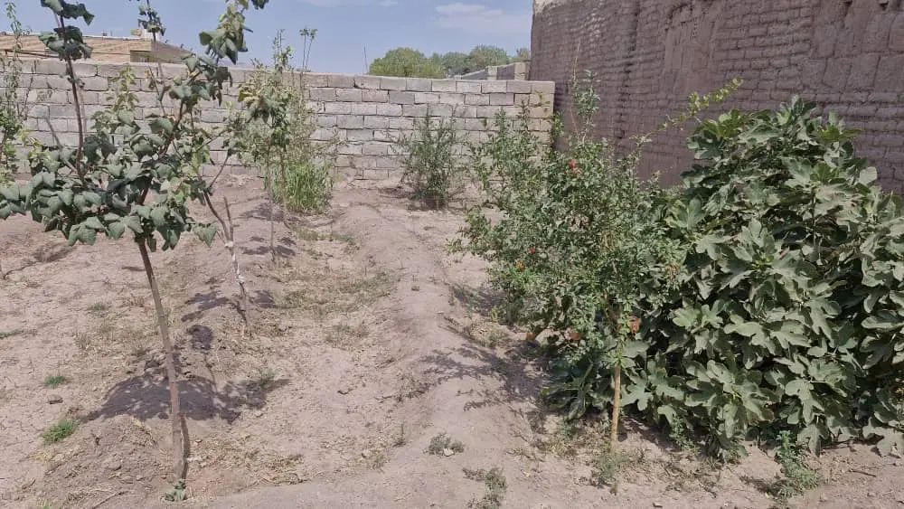 خونه به متراج ۵۲۰ متر ۱۶۰ متر زیر بنا در بردسیر|فروش خانه و ویلا|بردسیر, |دیوار