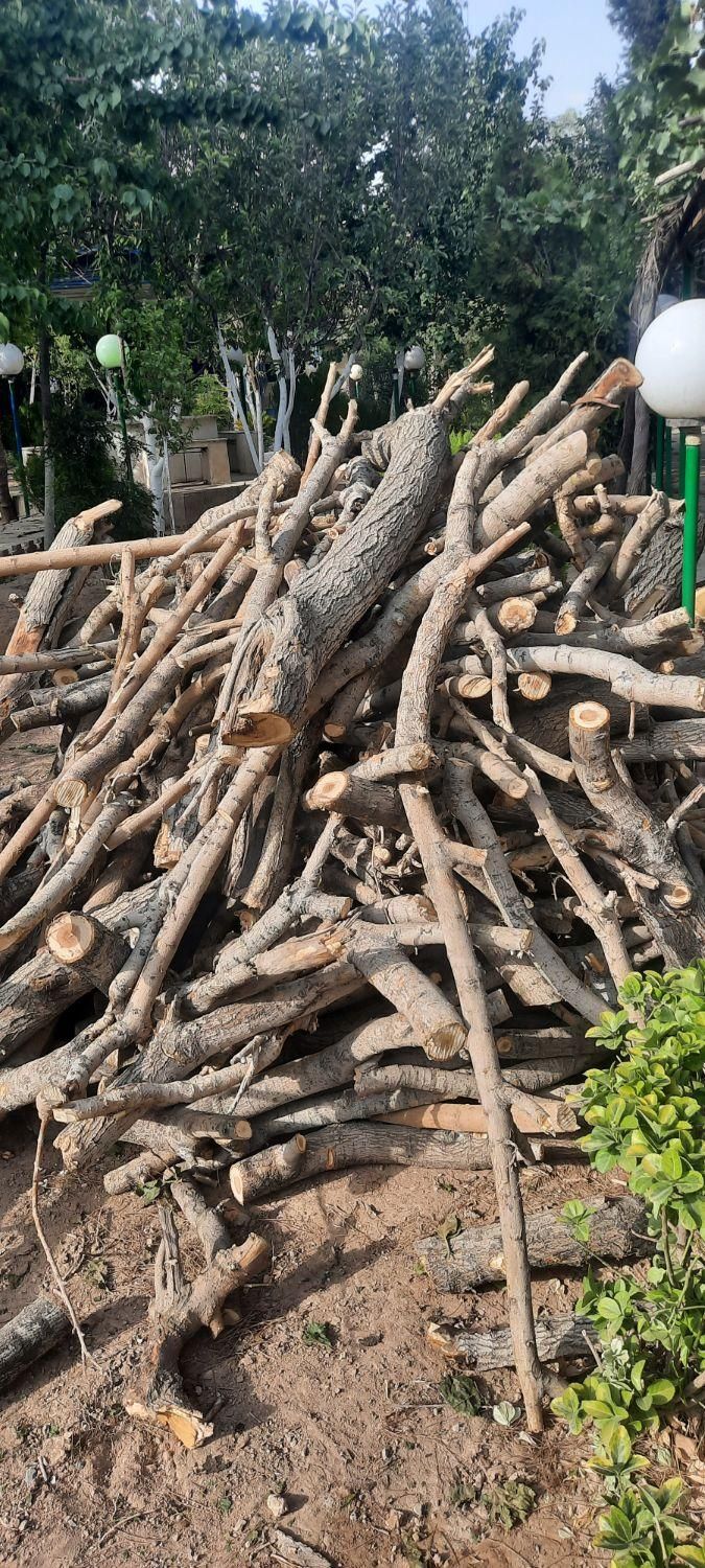خریدارچوب درختان خیس وخشک صنعتی وزغالی|خدمات باغبانی و درختکاری|تهران, عبدلآباد|دیوار