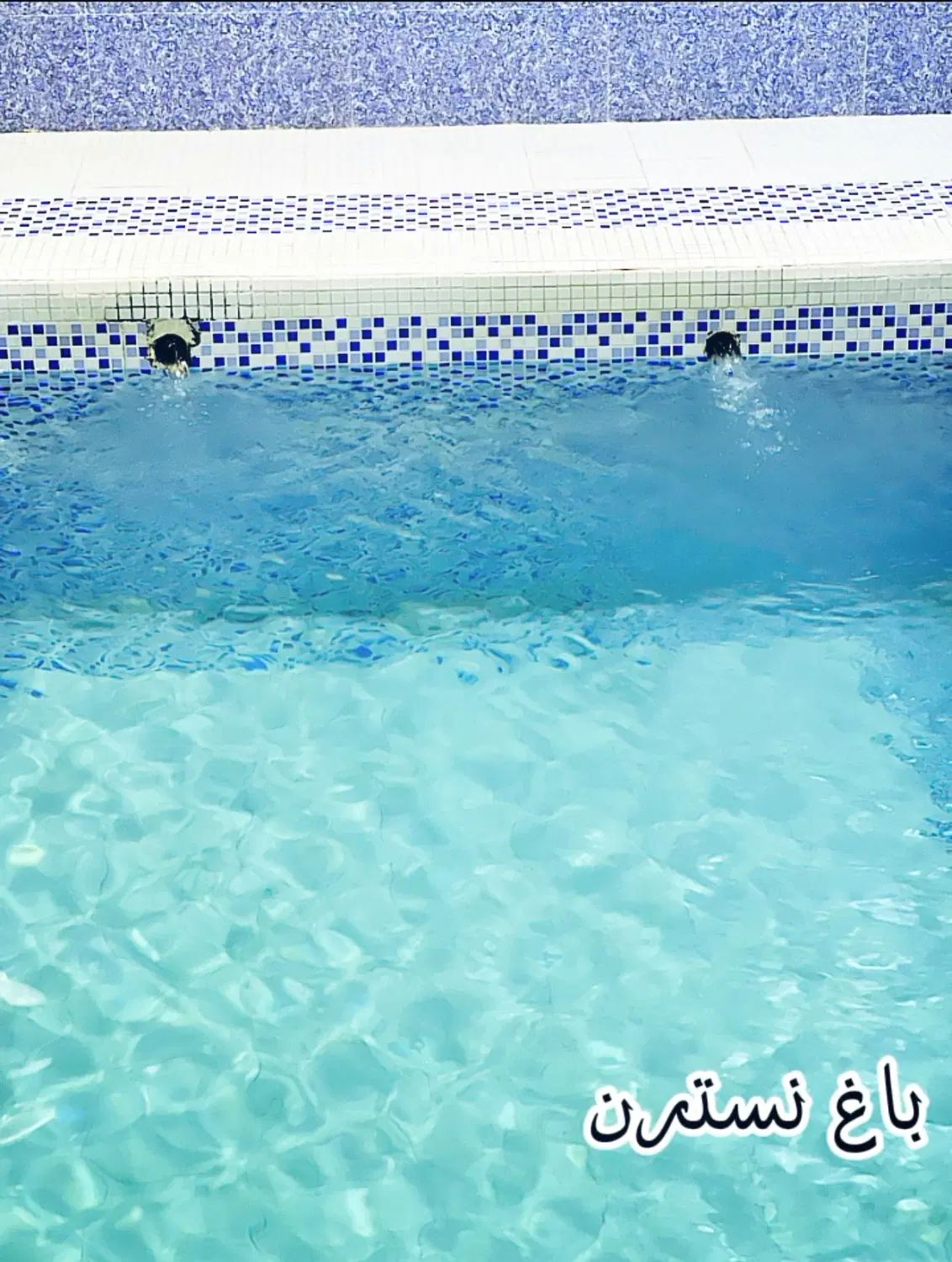 اجاره باغ ویلا ، ساعتی روزانه هفتگی ماهانه|اجارهٔ کوتاه‌مدت ویلا و باغ|طرقبه, |دیوار