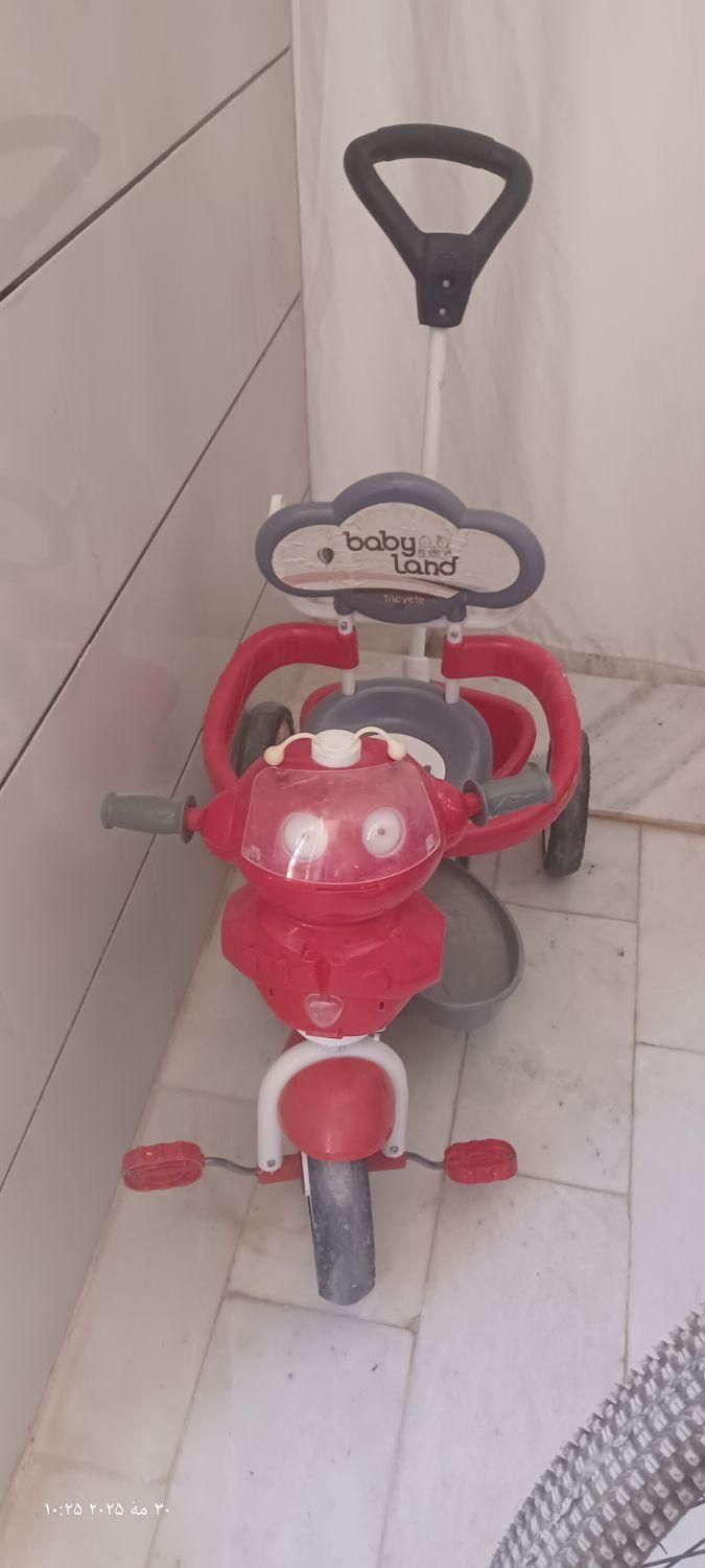 دوچرخه بچه|دوچرخه، اسکیت، اسکوتر|نی‌ریز, |دیوار