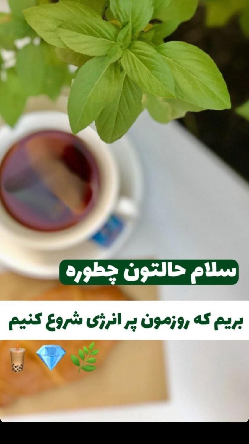 طراحی تخصصی وب سایت|خدمات رایانه‌ای و موبایل|نجف‌آباد, امام خمینی|دیوار