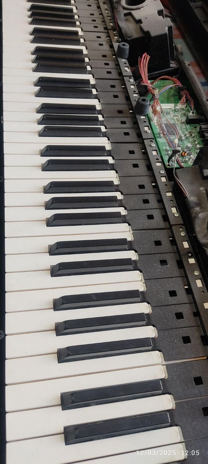 تعمیرات تخصصی ارگ ،پیانو دیجیتال و Dj میدی کنترولر|پیانو، کیبورد، آکاردئون|کرج, حصارک بالا|دیوار