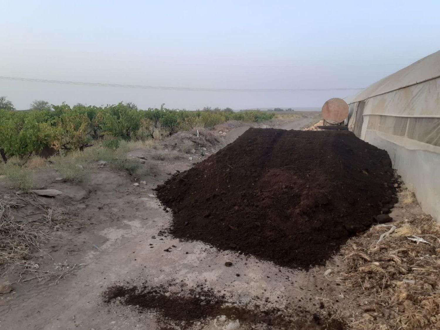 کود گاوی و گوسفندی نرم نرم پوسیده|خدمات باغبانی و درختکاری|قم, باسکول|دیوار