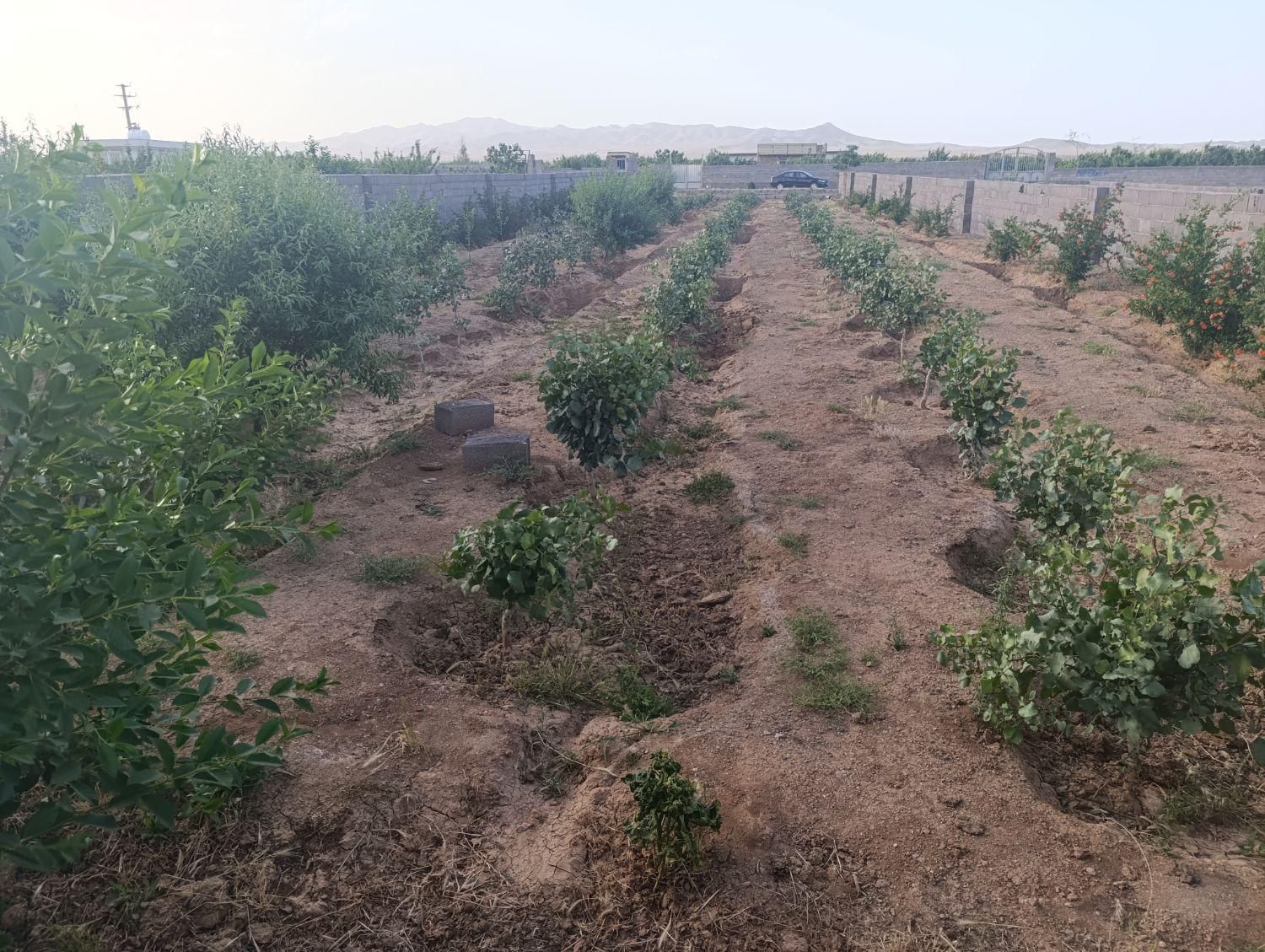 زمین باغی دارای مجوز ویلاسازی(مناسب سرمایه گذاری)|فروش زمین و ملک کلنگی|صفادشت, |دیوار