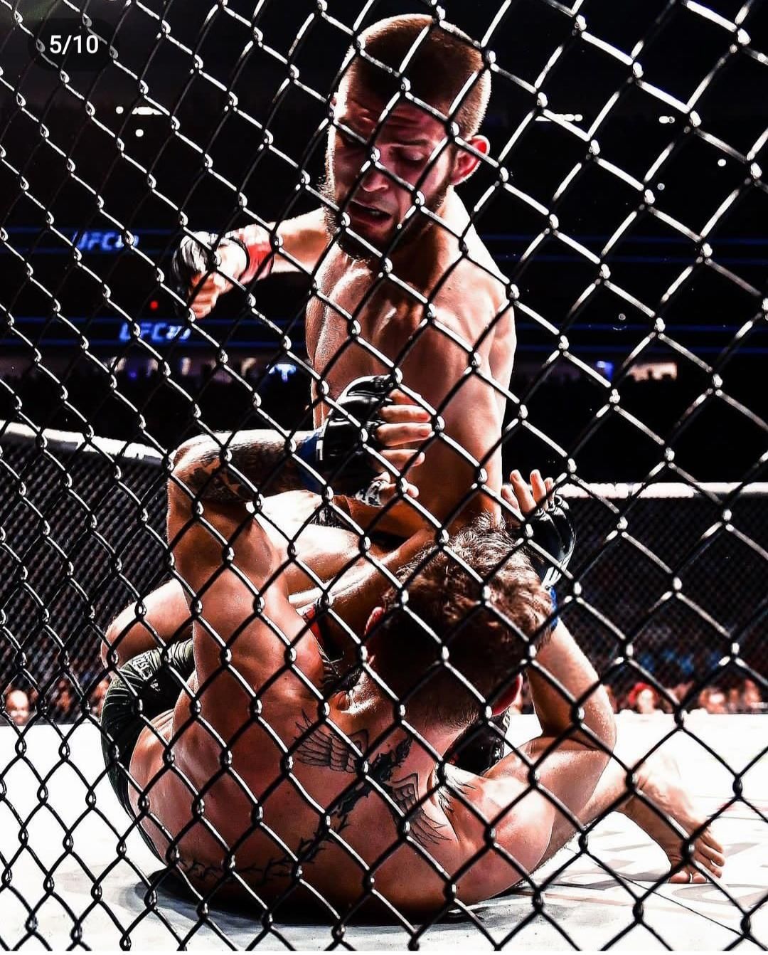 باشگاه تخصصی MMA و جوجیستو bjjو کاراته mfc|خدمات آموزشی|اردبیل, |دیوار