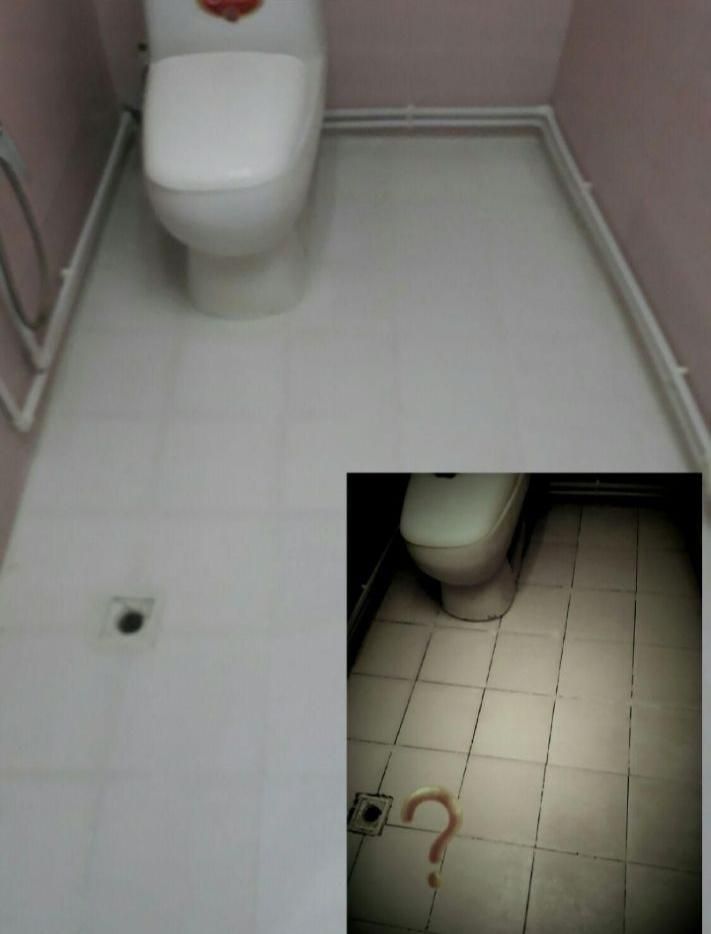 تخفیف 20% عایق های ضد تیرک واکتکس  رفع نم|خدمات پیشه و مهارت|بجنورد, |دیوار