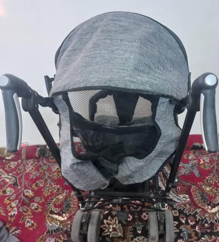 کالسکه دلیجان دیبا پلاس|کالسکه و لوازم جانبی|کرمان, |دیوار