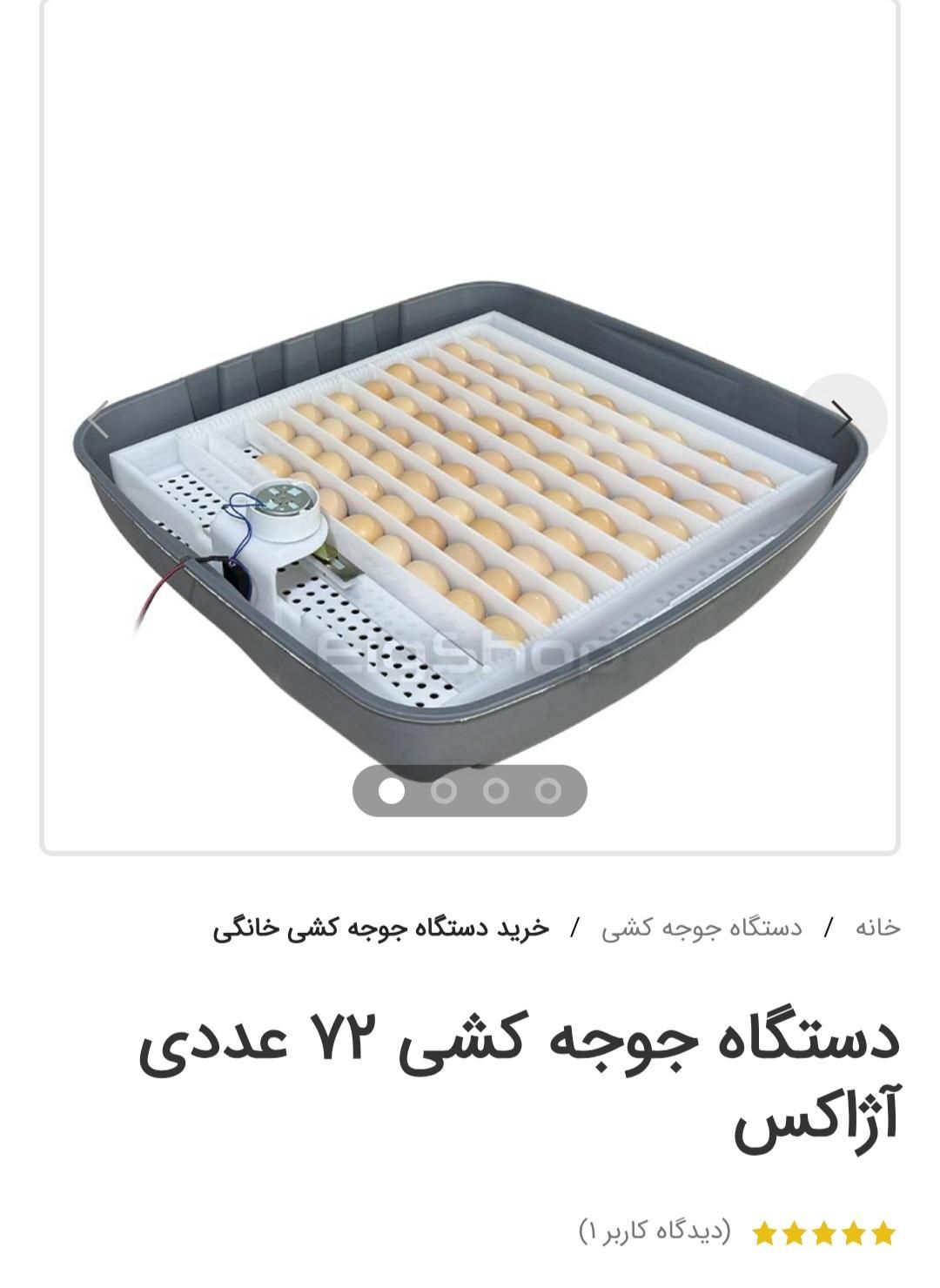 جوجه کشی با دستگاه تر‌ک|لوازم جانبی حیوانات|رشت, لاکان|دیوار