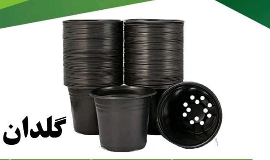 گلدان گلخانه ای نشا ارزان عمده اینترنتی|گل و گیاه طبیعی|رشت, بلوار گیلان|دیوار