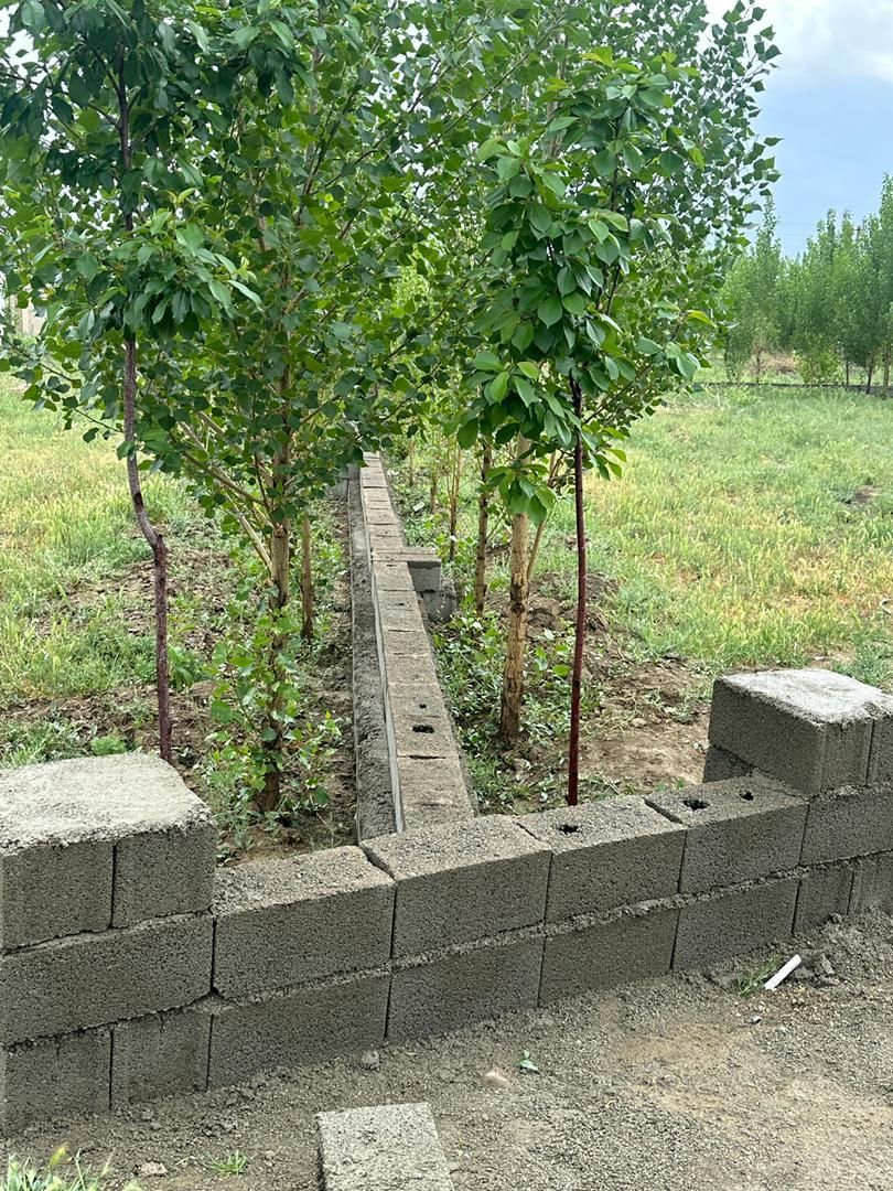 زمین شهرکی|فروش زمین و ملک کلنگی|تهران, شهرک ولیعصر جنوبی|دیوار