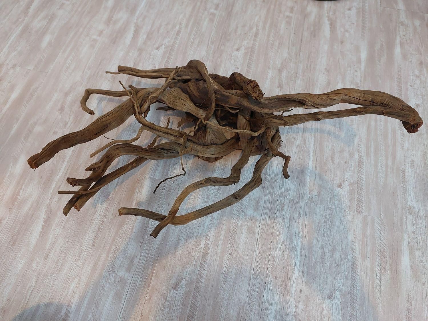 چوب ابنوس|ماهی|اصفهان, پروین|دیوار