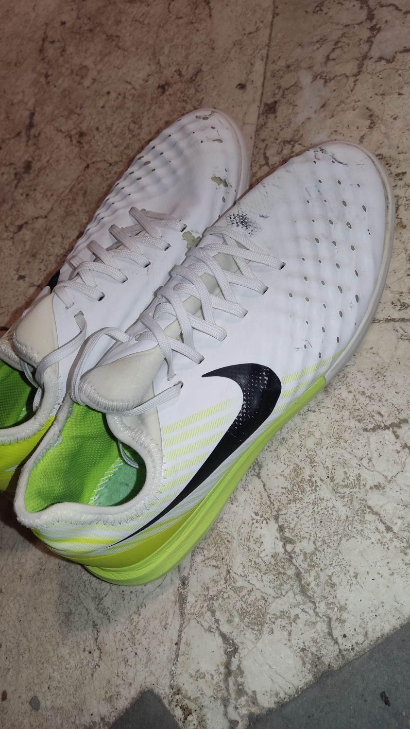 کفش فوتسال مجیستا ایکس|کیف، کفش، کمربند|سبزوار, شهرک ابوذر|دیوار