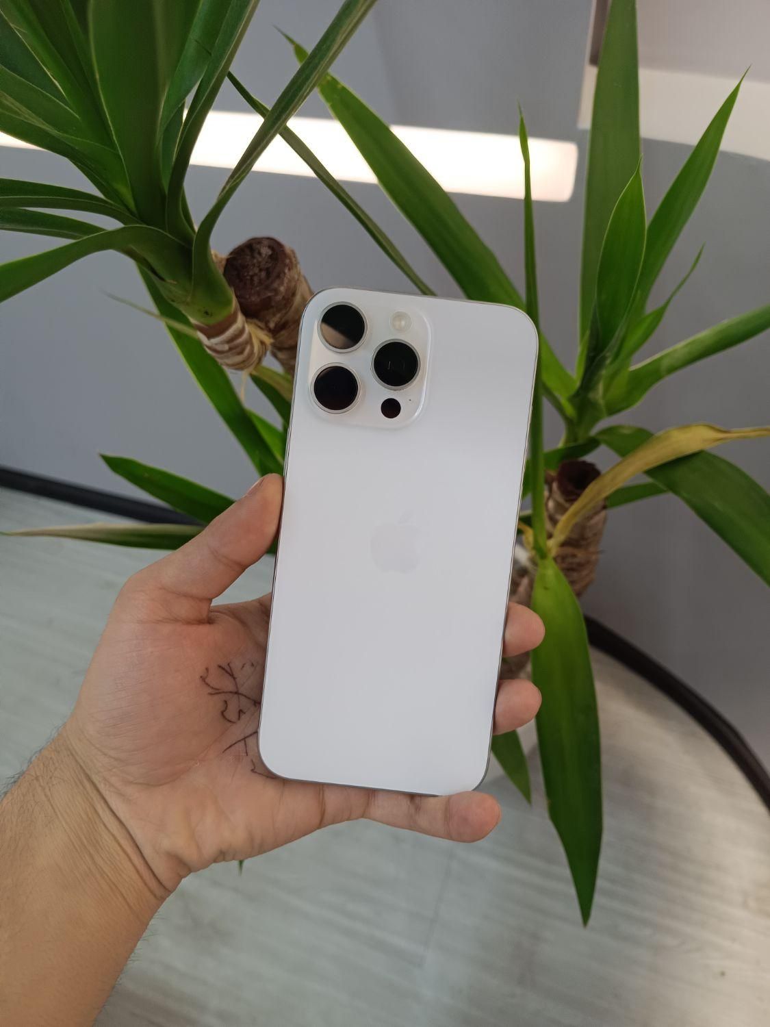 Iphone 16 promax|موبایل|اصفهان, باغ نگاره|دیوار