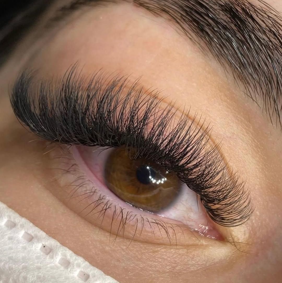 استخدام و اموزش مژه|خدمات آرایشگری و زیبایی|شیراز, عفیف‌آباد|دیوار