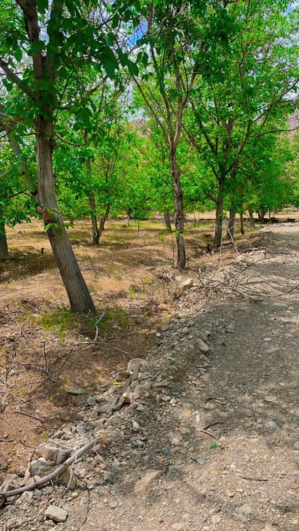 ۲۳۸متر باغچه خسروان جنب آیینه ورزان|فروش زمین و ملک کلنگی|دماوند, دماوند|دیوار