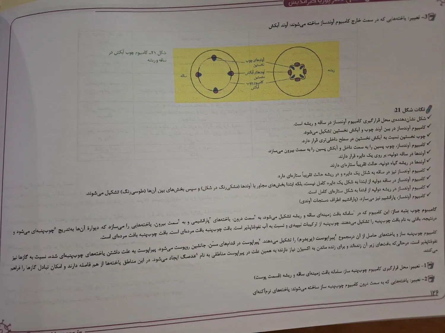 جزوه زیست دهم استاد خیر اندیش ویژه کنکور و نهایی|لوازم التحریر|خلخال, |دیوار