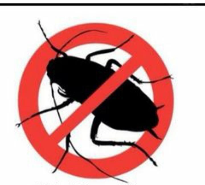 نابودی انواع سوسکهای ریز و درشت تخم گذار کابینتی|خدمات نظافت|لاهیجان, گلستان|دیوار