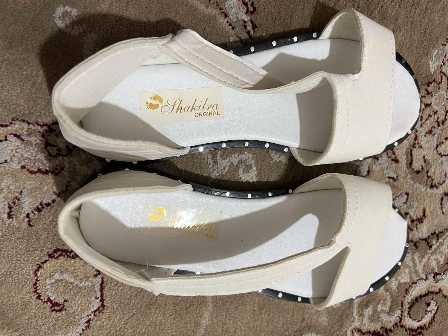 صندل سفید|کیف، کفش، کمربند|تهران, سبلان (لشگر)|دیوار