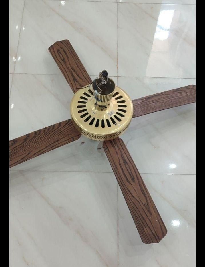 پنکه سقفی لوستردار درحدنو|پنکه و تصفیه‌کنندهٔ هوا|امیدیه, |دیوار