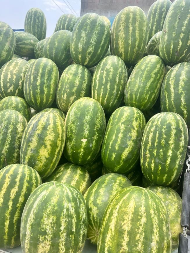 هندوانه شیرازی درجه یک|خوردنی و آشامیدنی|مشهد, شهرک صنعتی توس|دیوار