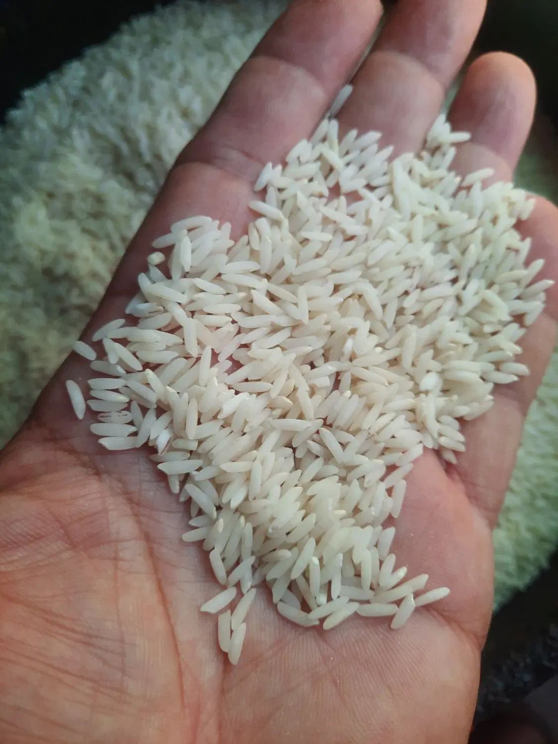 برنج درجه یک|خوردنی و آشامیدنی|تهران, بهداشت|دیوار