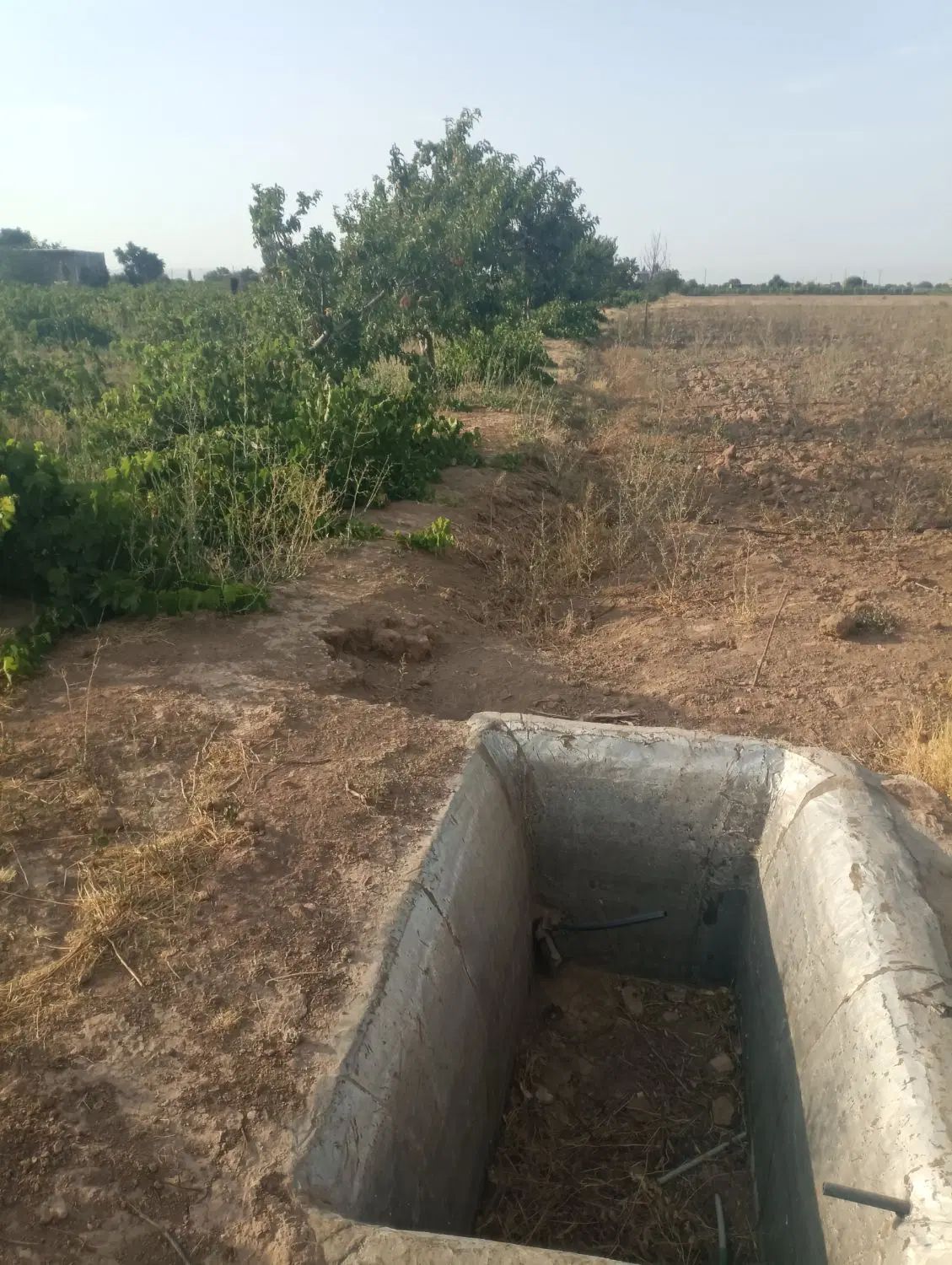 5000 متر زمین با سهم آب و سند تکبرگ درتاکستان|فروش دفتر صنعتی، کشاورزی، تجاری|تهران, خاک سفید|دیوار