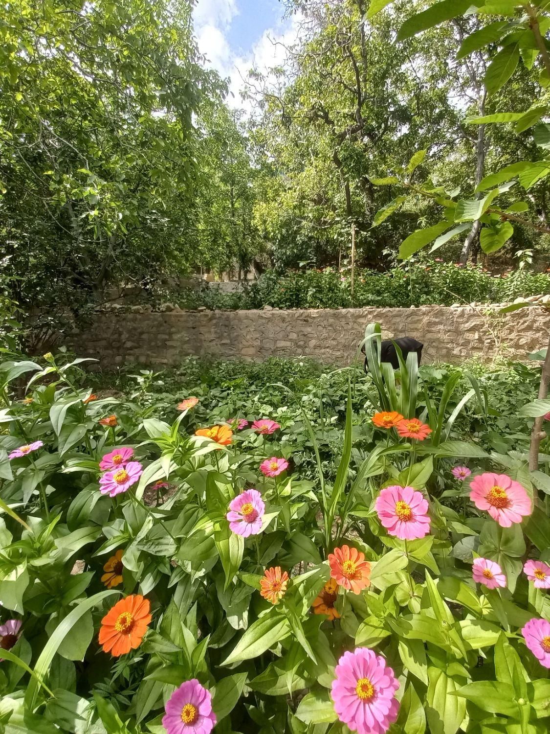 ویلا باغ مشرف به رودخانه واقع در روستای خبر بافت|اجارهٔ کوتاه‌مدت ویلا و باغ|بافت, |دیوار