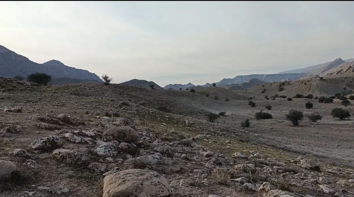 چراگاه گوسفند،اجاره قشلاق ۹ دانگ،شهرستان فراشبند|اجارهٔ دفتر صنعتی، کشاورزی، تجاری|شیراز, رکن‌آباد|دیوار
