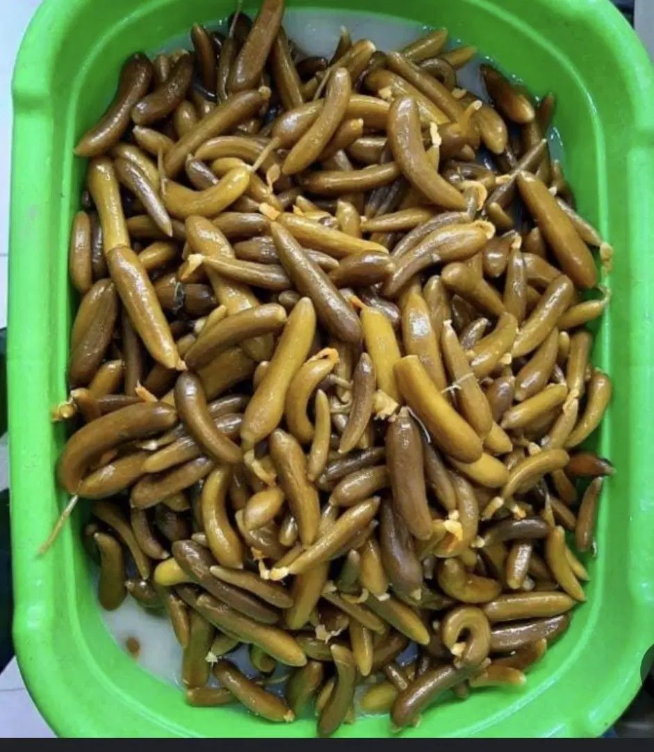 خیارشور تازه همدان|خوردنی و آشامیدنی|کرج, کوی کارمندان جنوبی|دیوار
