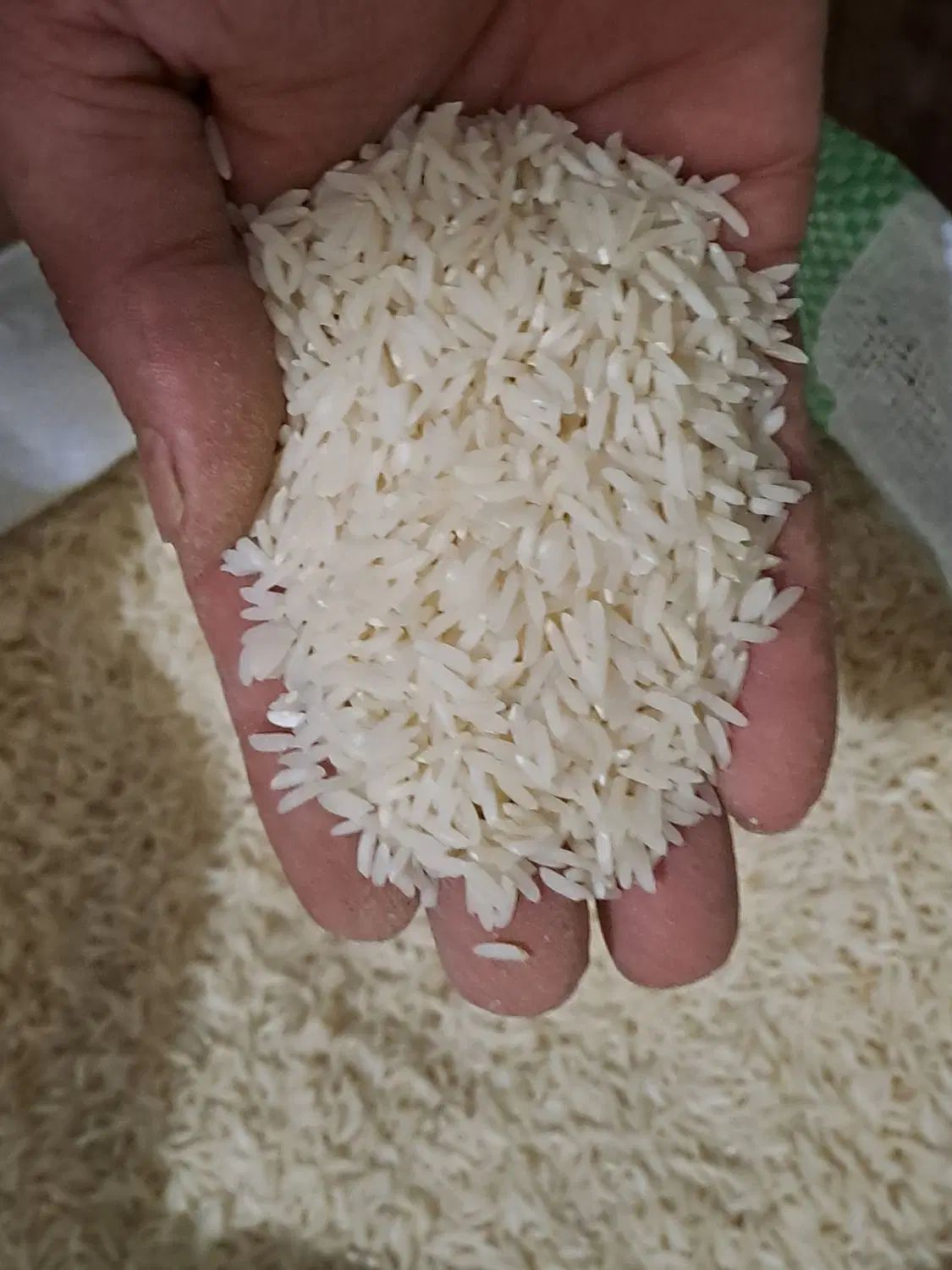 برنج هاشمی|خوردنی و آشامیدنی|رشت, جماران|دیوار
