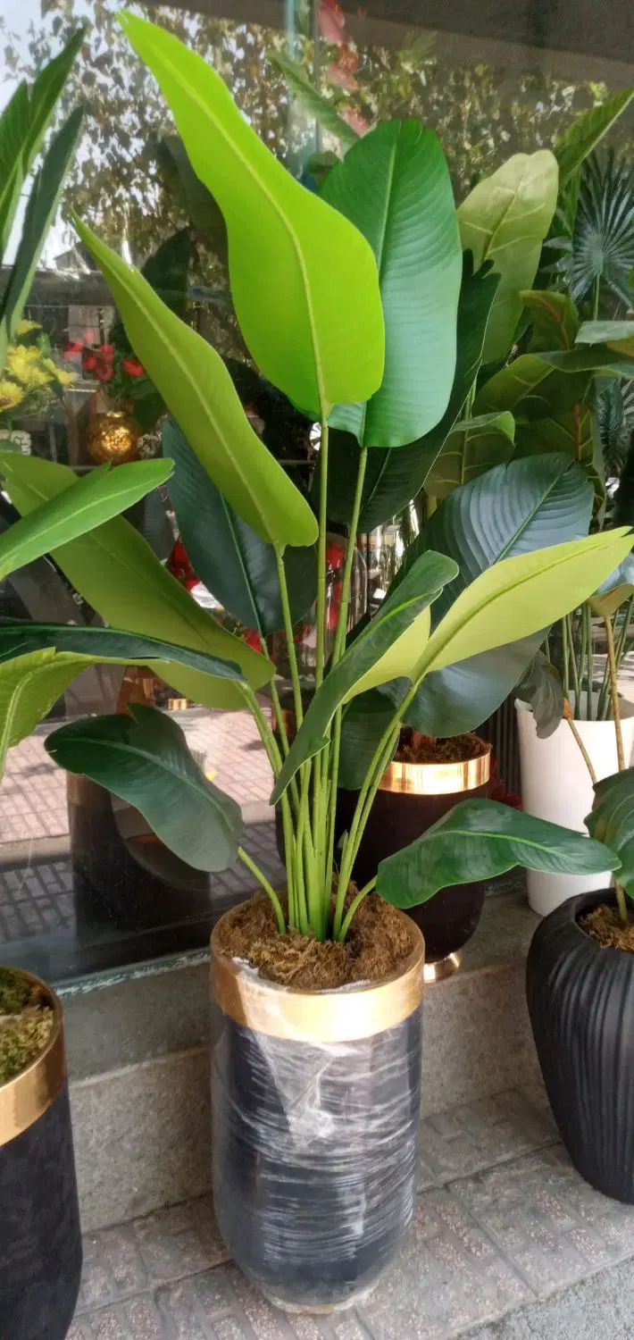 سه تنه درخچه|گل مصنوعی|تهران, مشیریه|دیوار