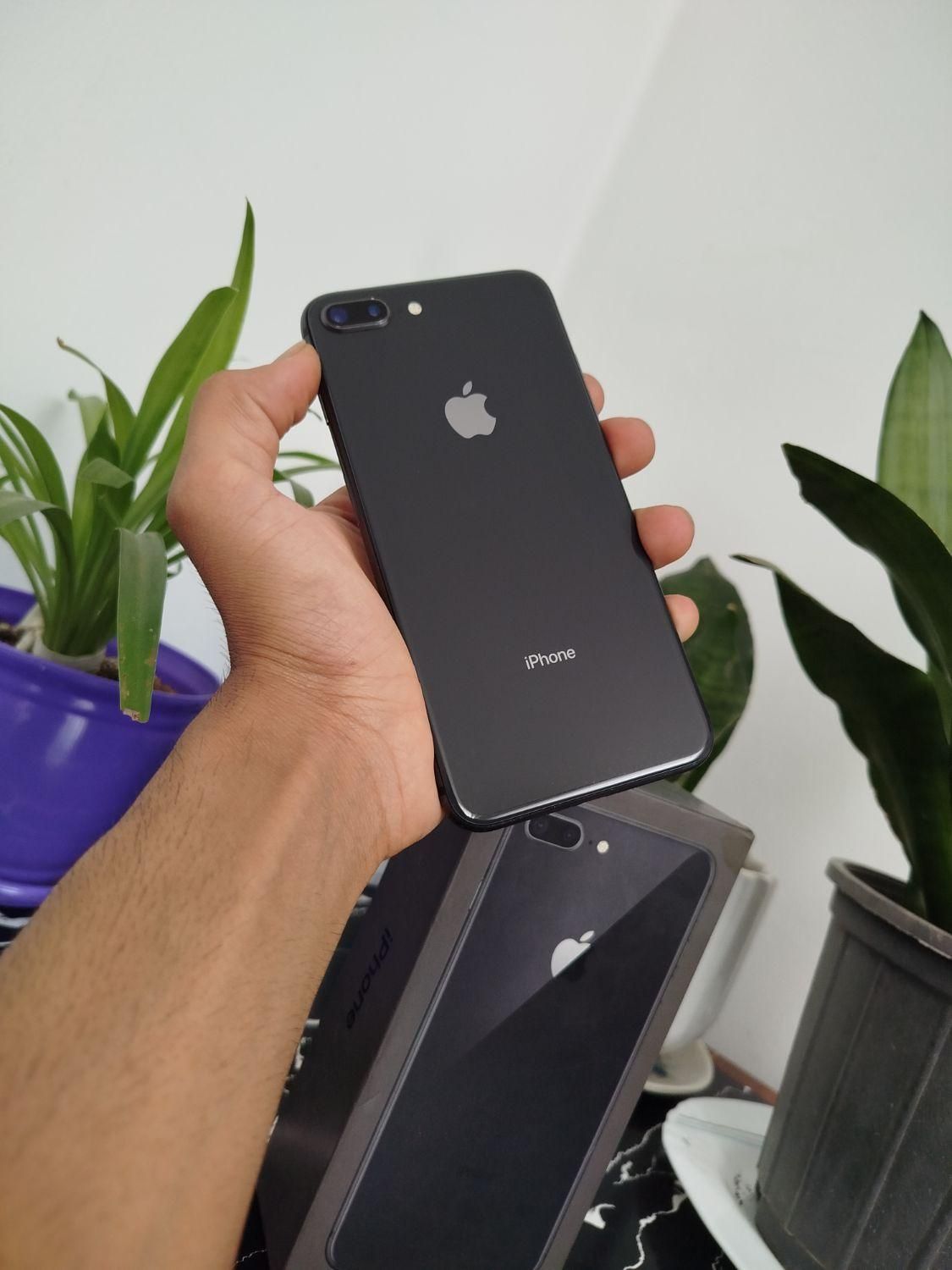 اپل iPhone 8 Plus با حافظهٔ ۶۴ گیگابایت تمیز|موبایل|تهران, آبشار تهران (دریاچه)|دیوار