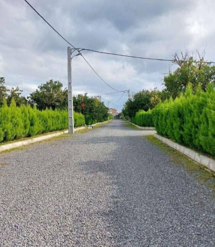 فروش زمین ۱ هکتار/باسند+جواز(ازهمین الان بساز)|فروش زمین و ملک کلنگی|تهران, سعیدآباد|دیوار