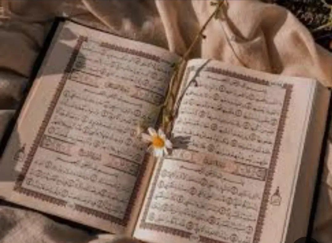 دعا.سرکتاب.برگشت معشوق.صدرصد تضمینی.|کتاب و مجله مذهبی|تهران, منیریه|دیوار