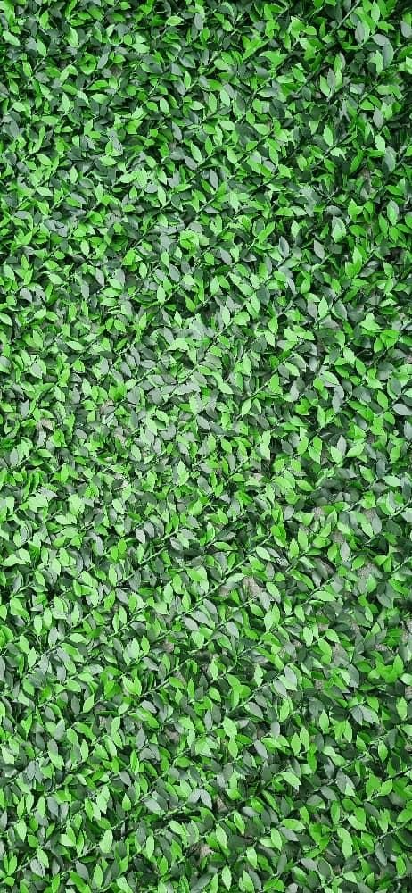 مرکز فنس چمنی فنس برگی چمن مصنوعی انبار پخش|گل مصنوعی|فردیس, فردیس|دیوار