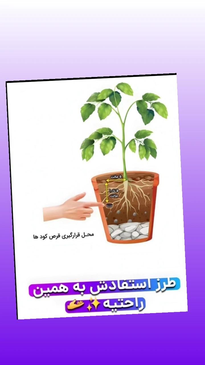 فروش قرص کود  ارگانیک با صرفه وبا نازلترین قیمت|خدمات باغبانی و درختکاری|صفادشت, |دیوار