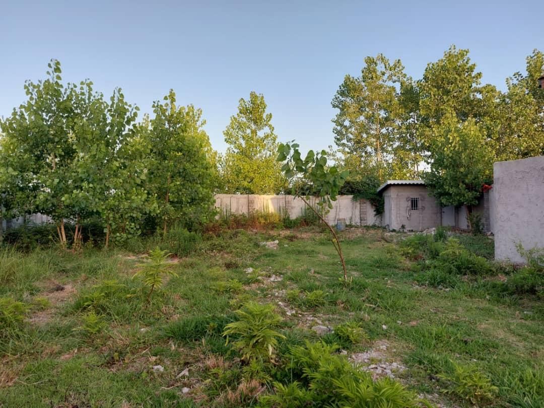 زمین مسکونی ۶۲۰ متری سند تک برگ و پروانه ساخت|فروش زمین و ملک کلنگی|رشت, گلسار|دیوار