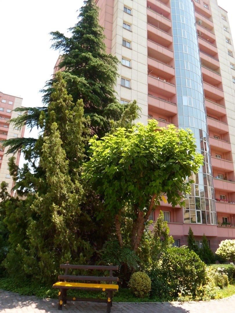 قیطریه مجتمع سبحان ۱70متر۳ خ(دفتر مرکزی مجتمع)|فروش آپارتمان|تهران, قیطریه|دیوار